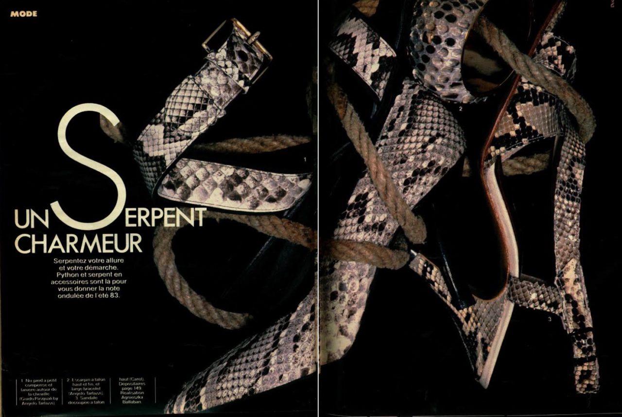 Un Serpent Charmeur